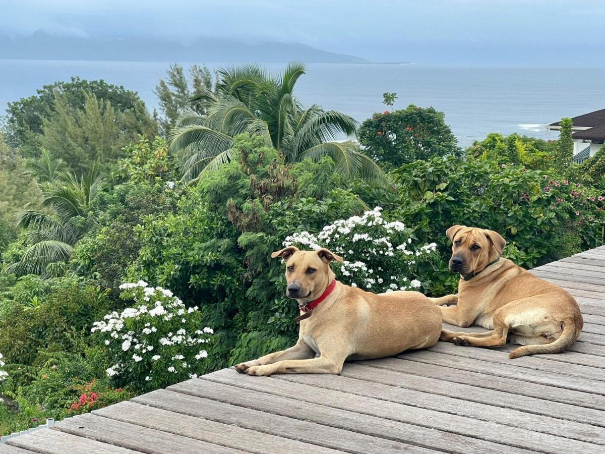 Jolie Maison Vue Ocean Et Moorea Punaauia  Eksteriør bilde